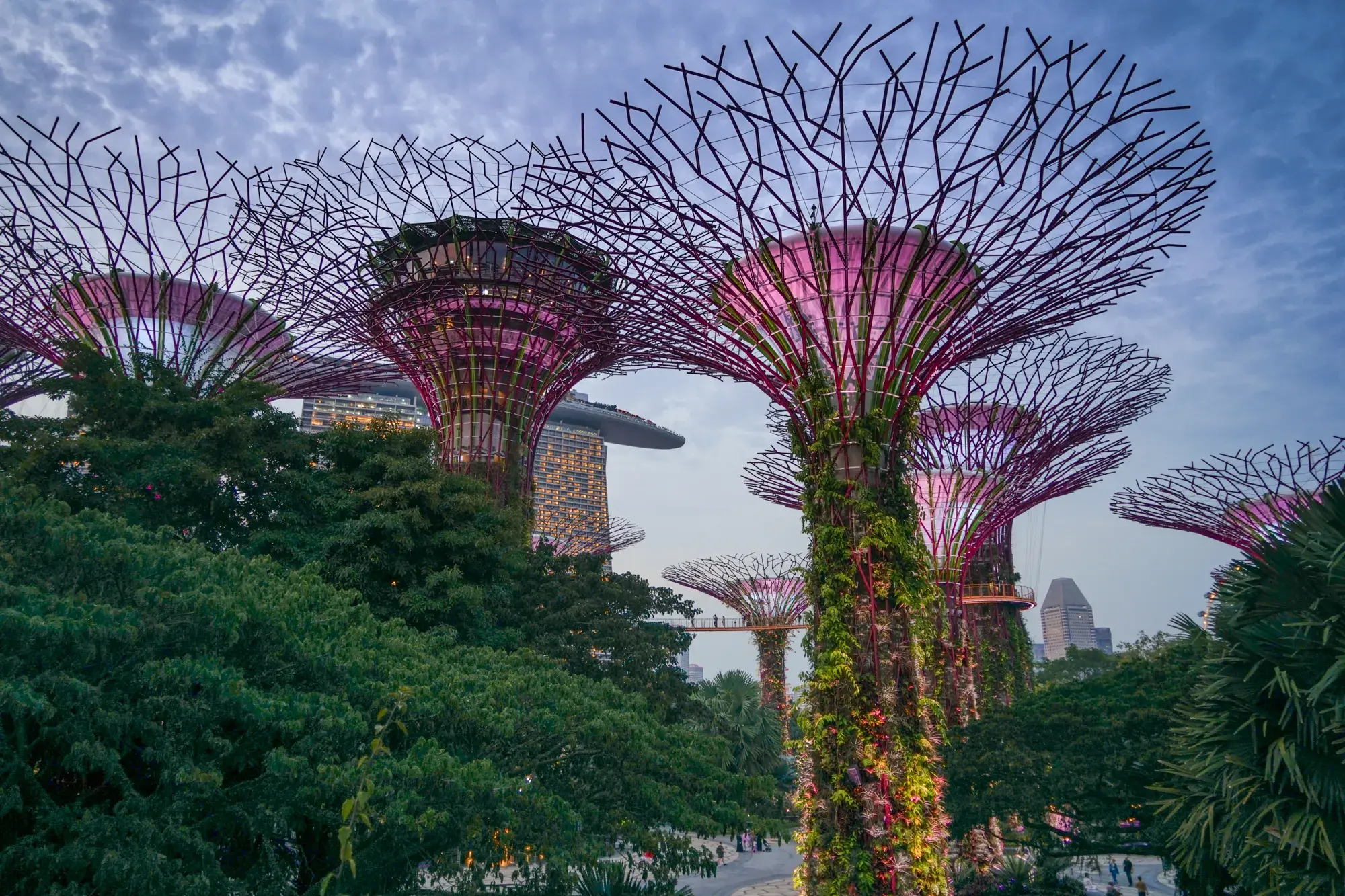 30 Cosas Que Ver Y Hacer En Singapur Los Traveleros